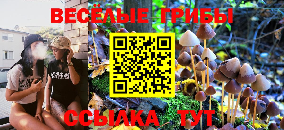 Кимовск  Галлюциногенные грибы прущие грибы  Вход с VPN 