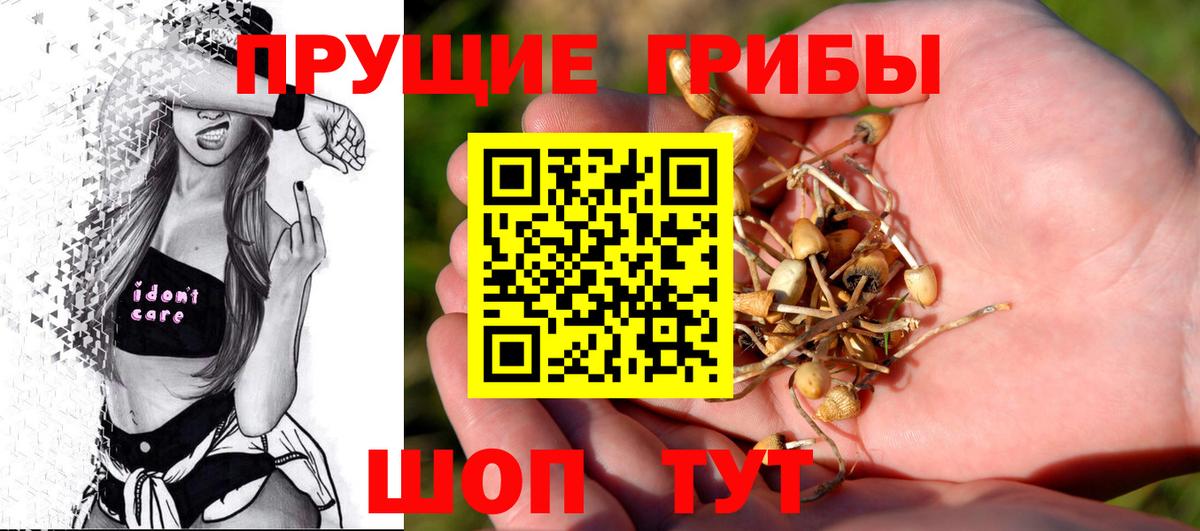 Галлюциногенные грибы MAGIC MUSHROOMS Кимовск